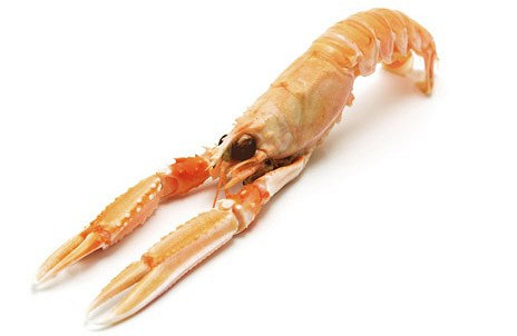 Изображение материала