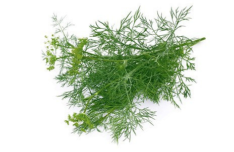 Изображение материала