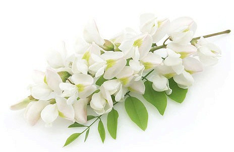 Изображение материала