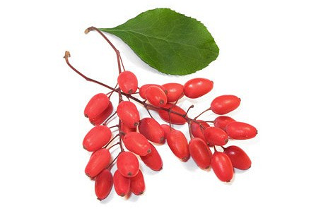 Изображение материала