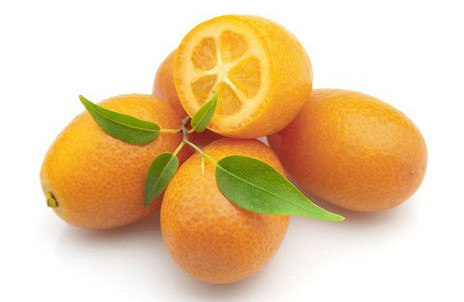 Изображение материала