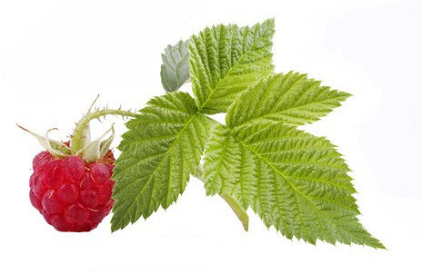 Изображение материала