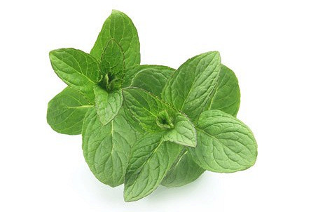 Изображение материала