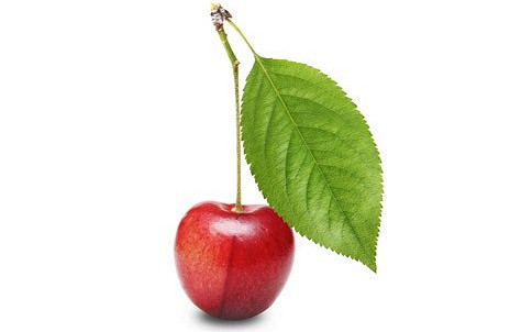 Изображение материала