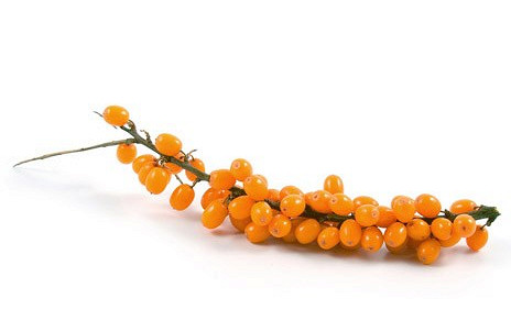 Изображение материала