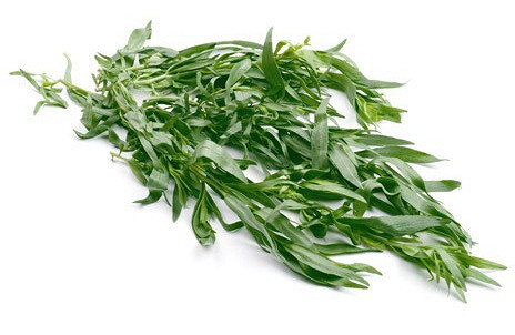 Изображение материала