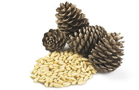 Изображение материала