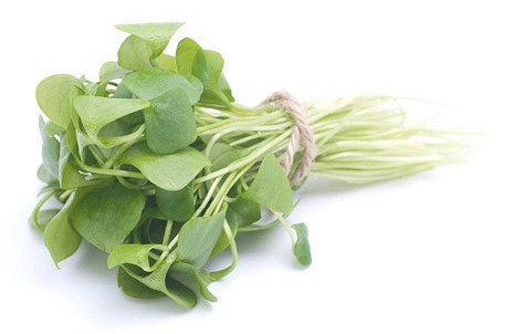 Изображение материала