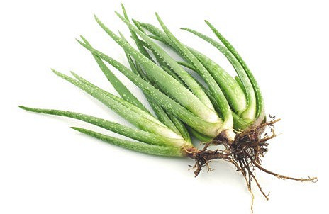 Изображение материала