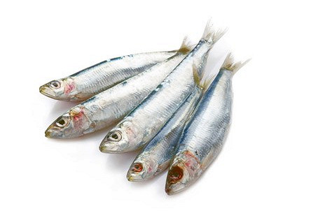 Изображение материала