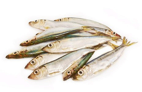 Изображение материала