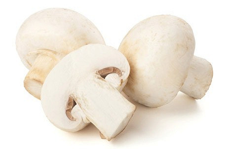 Изображение материала