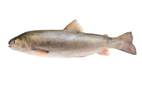 Изображение материала