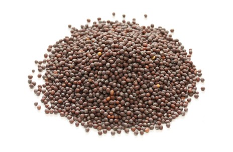 Изображение материала