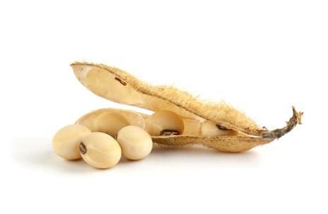 Изображение материала