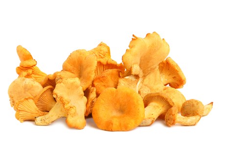 Изображение материала