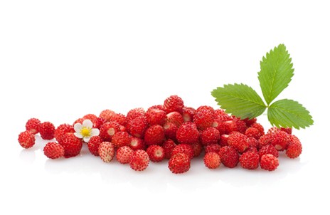 Изображение материала