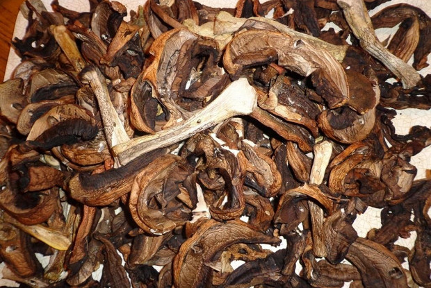 Фото рецепт Грибной суп из сушеных грибов с перловкой