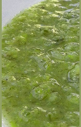 Фото рецепт Суп из лука-порея и картофеля