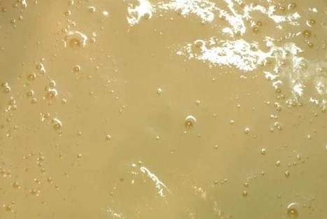 Фото рецепт Суп-пюре из картофеля и куриной грудки